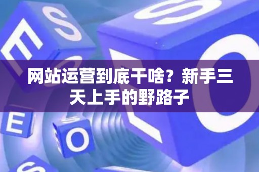 网站运营到底干啥？新手三天上手的野路子